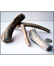 Flint River Ranch Deer Antlers Dog Chews - Click to Enlarge