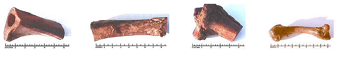 Flint River Ranch Premium Hickory-Smoked Dog Bone Chews from A+ FRR