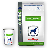 prescription urinary dog food