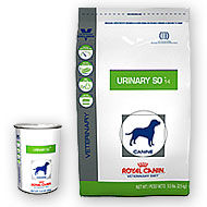 science diet urinary care dog food