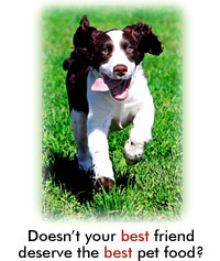 Flint River Pet Foods for Less